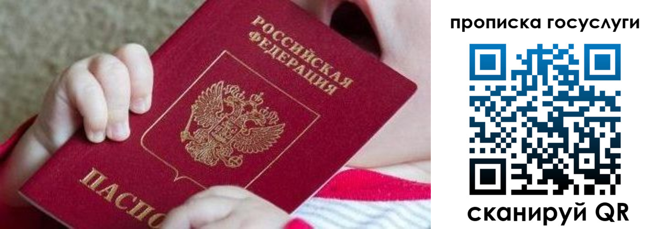 временная регистрация госуслуги в Камышине