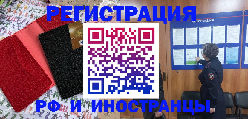 прописка 2025 в Камышине