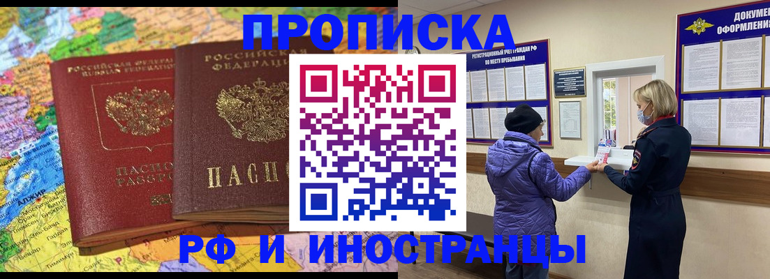 найти адрес прописки в Камышине